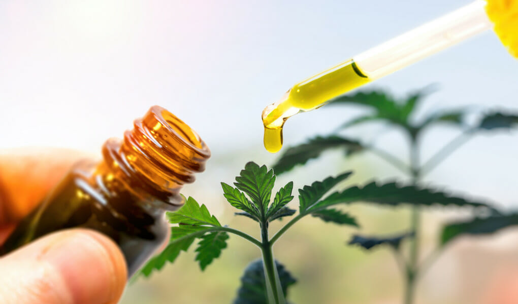 CBD Oils 101