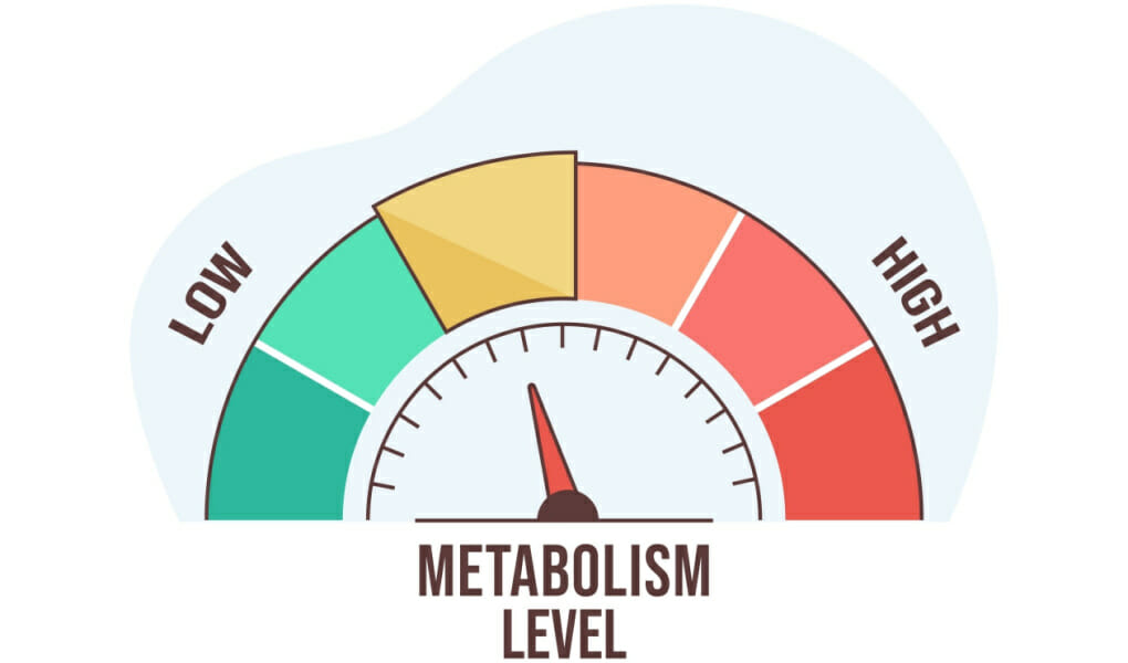 How Long Does CBD Stay In Your System_