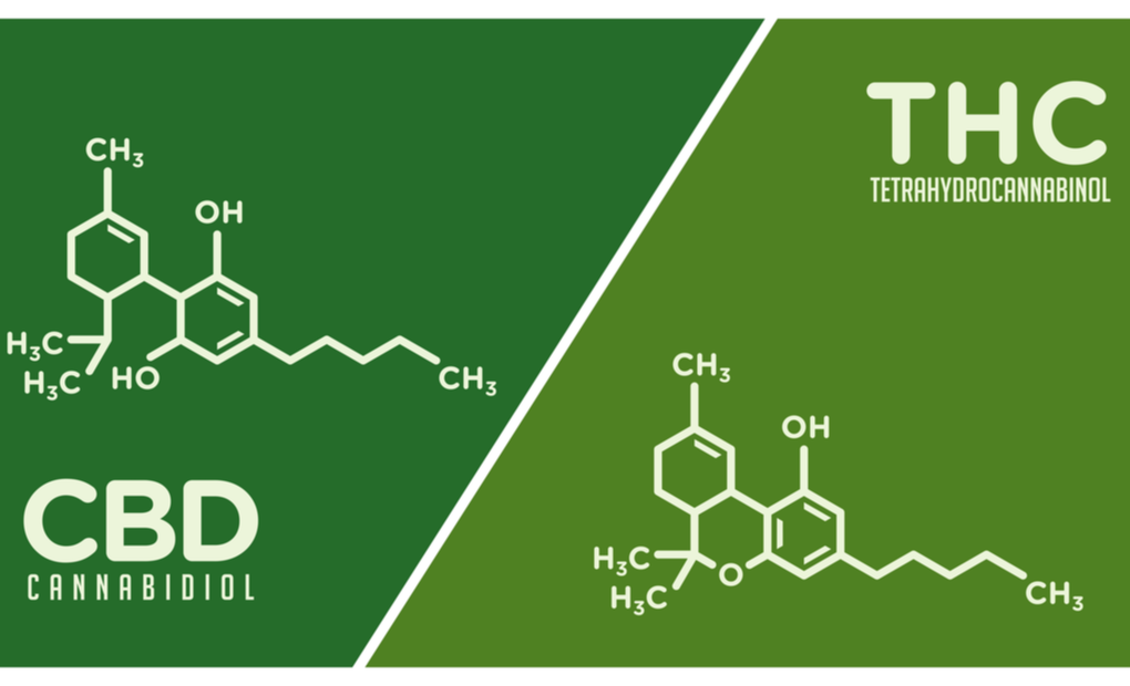 Benefits of CBD + THC Gummies