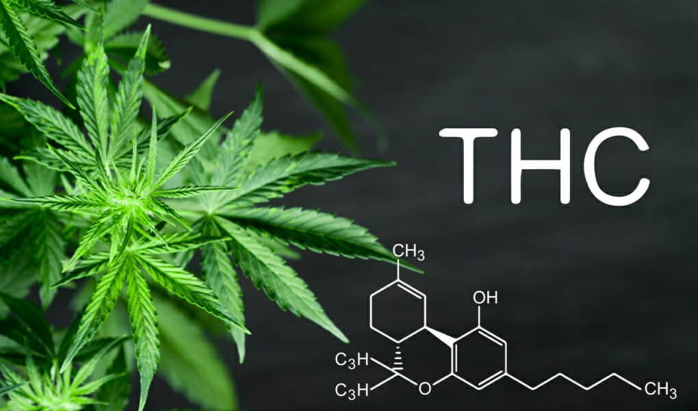 Exploring Delta-9 THC_ What It Is and Its Legal Status