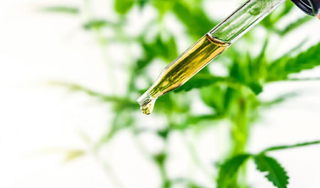 HOW LONG DO THE EFFECTS OF CBD OIL LAST IN A DOG?