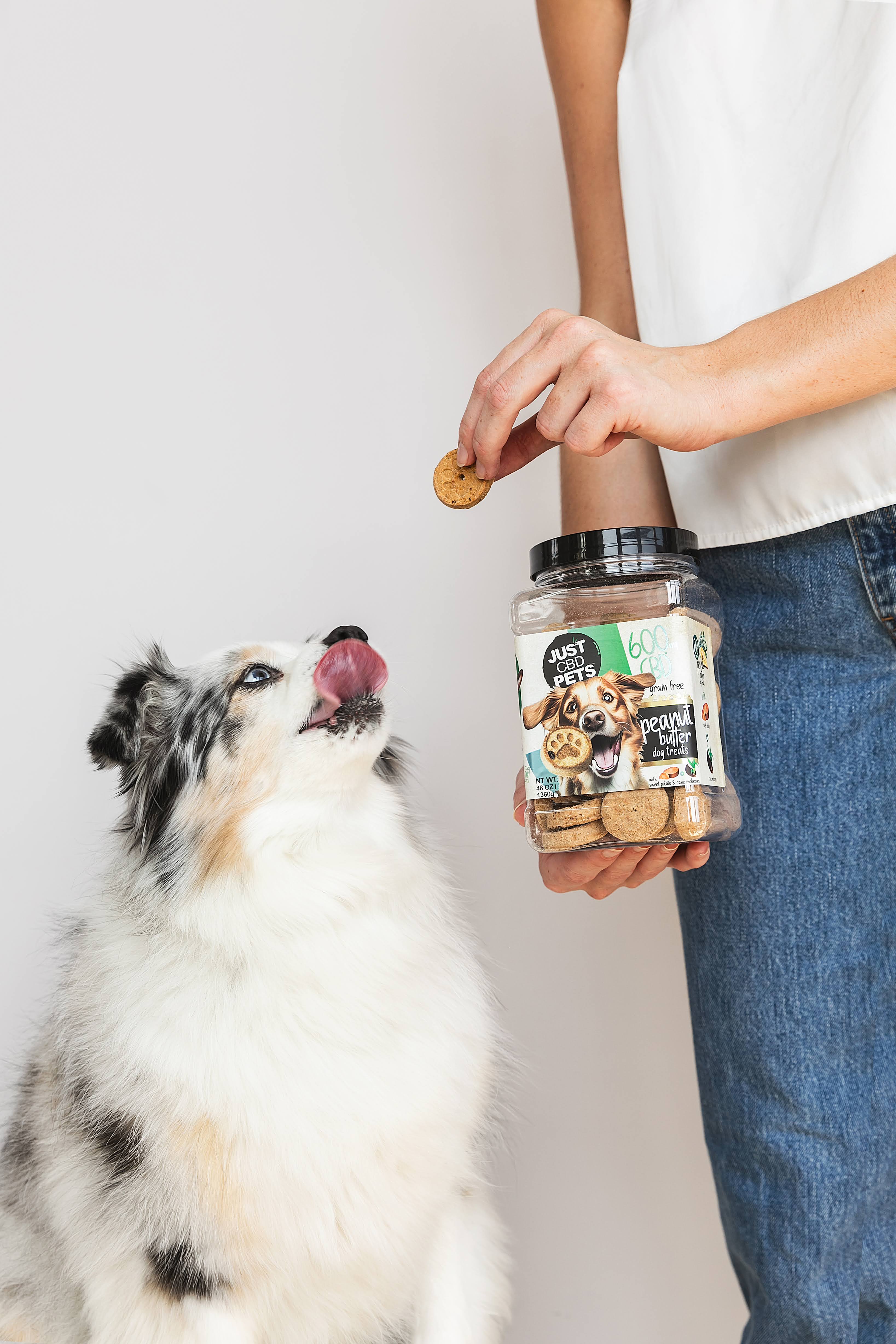 For Pets that get anxious during storms, fireworks, or loud city energy.