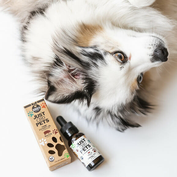 Just CBD Store
