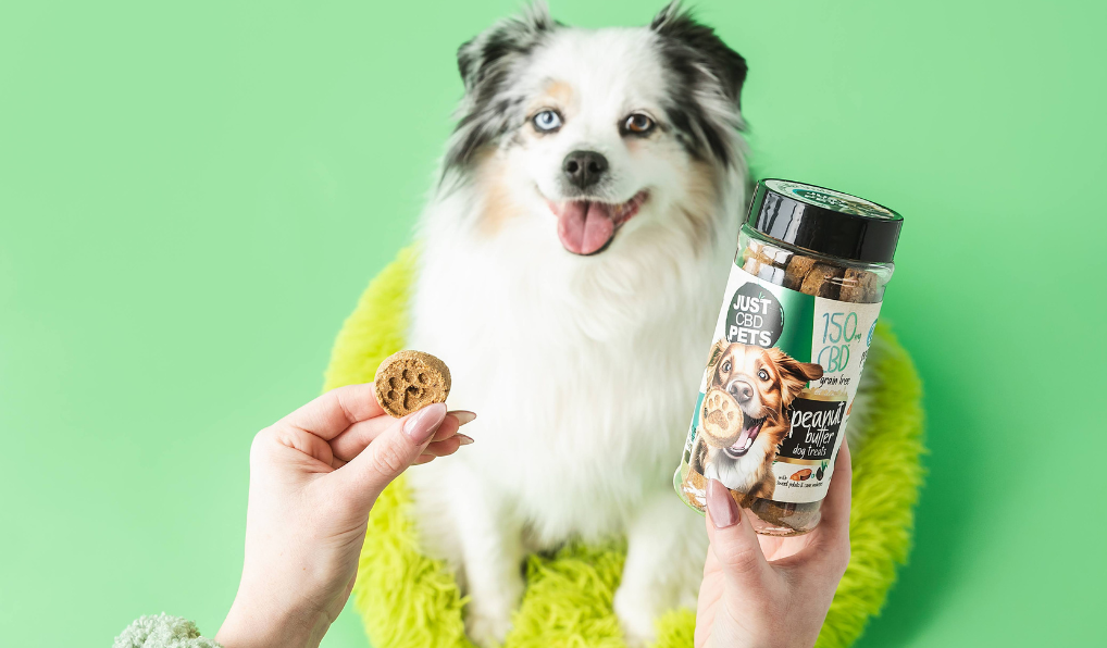 cbd for pets category page