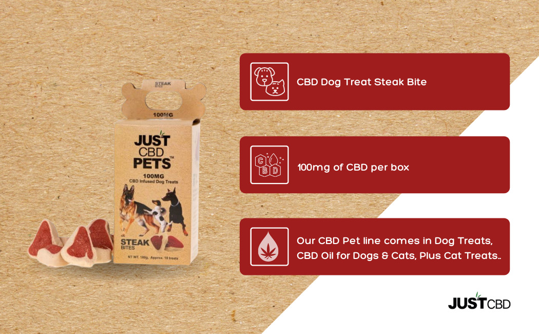 CBD Dog Treats 100mg Steak Bites Infographic
